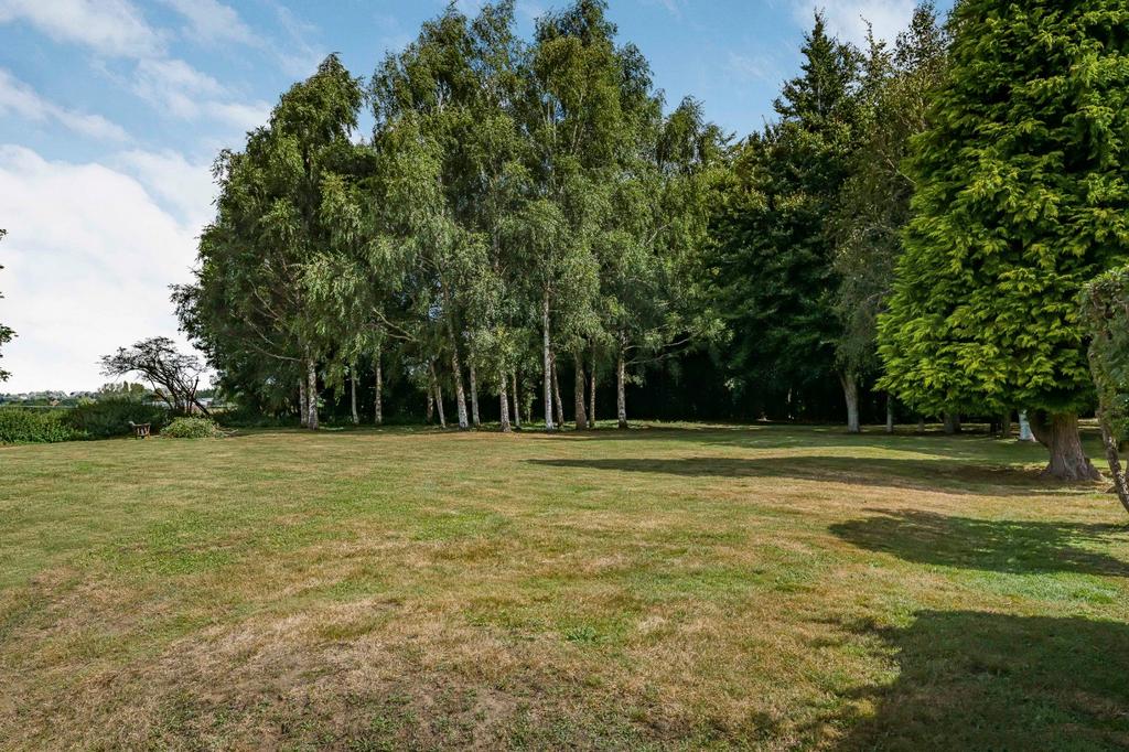 Grounds