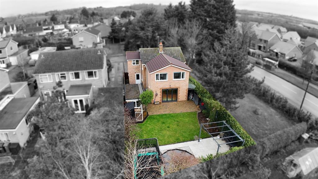 Aerial Rear