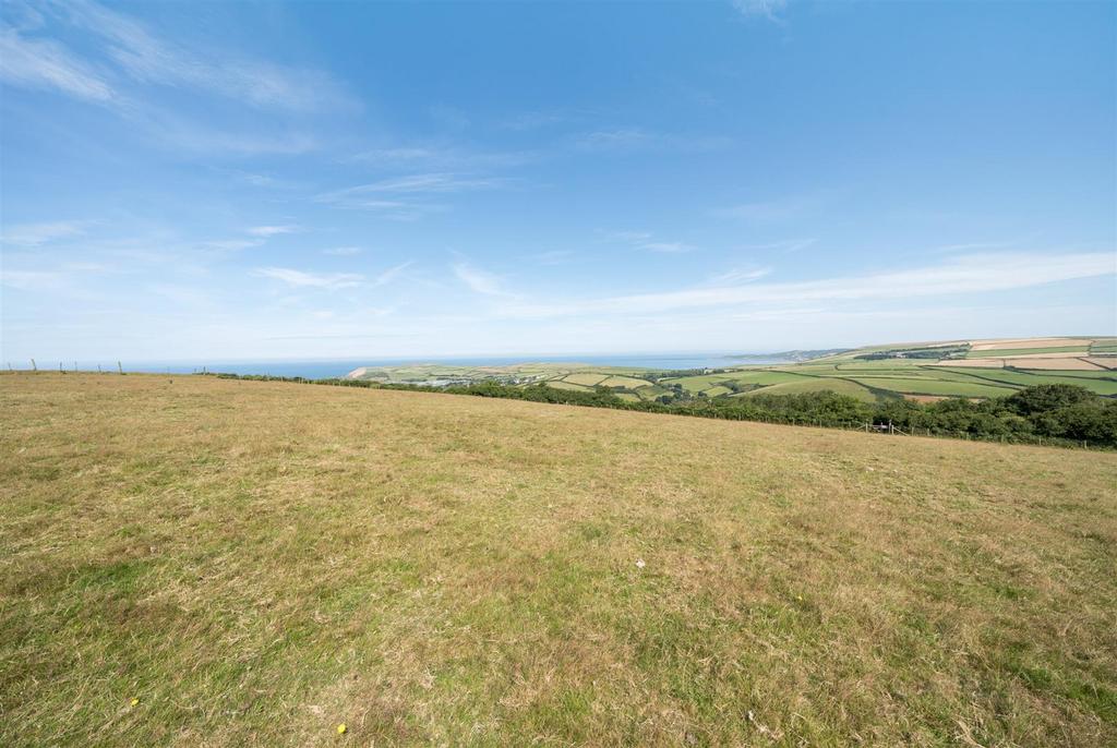 View from Hill.jpg