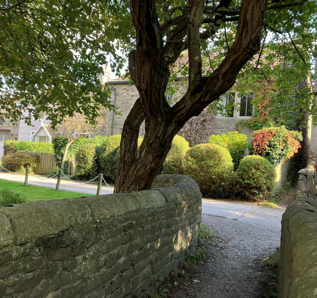 Picture 23