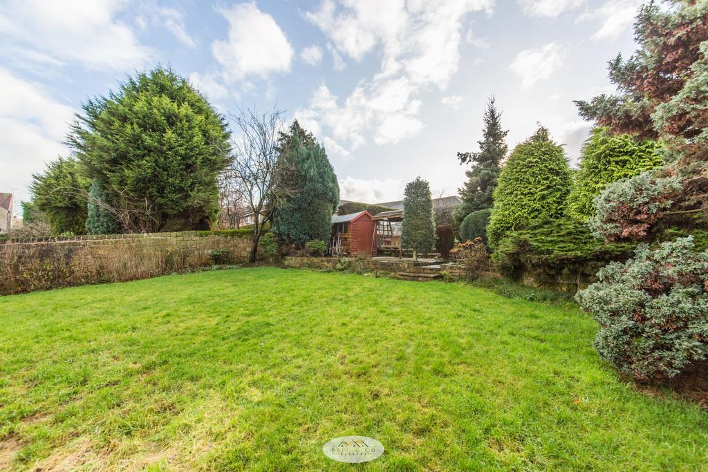 Back garden 1.2