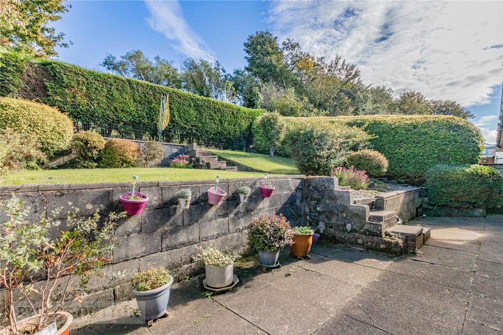 Back Garden