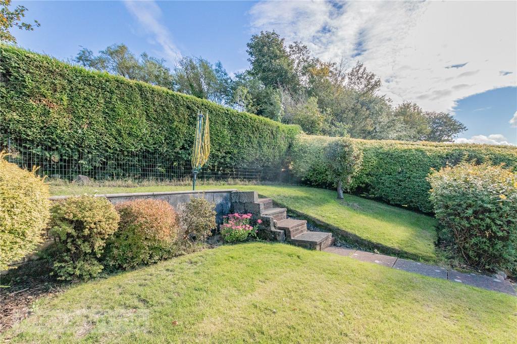 Back Garden