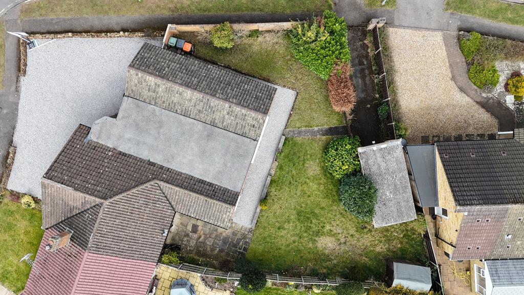 Dji fly 20250320 122008 0019 1742473388170 photo.j
