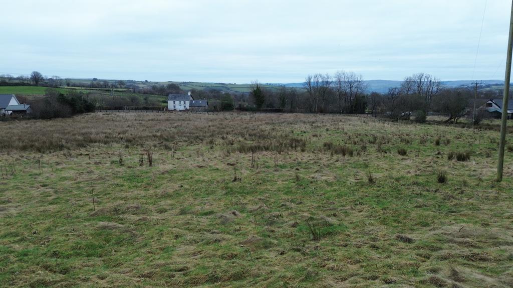 The land
