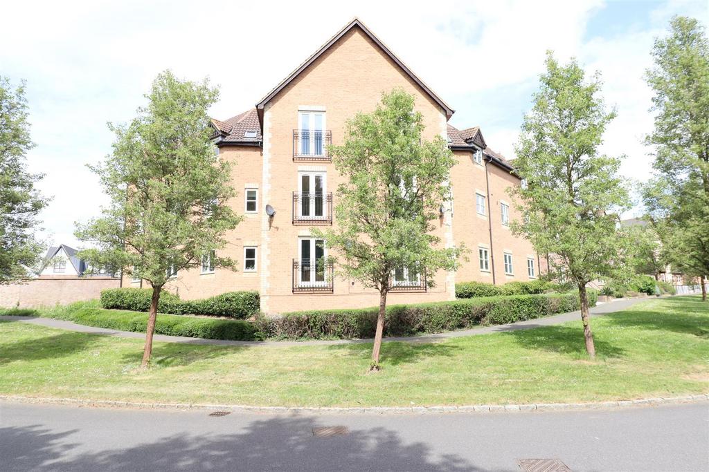 Rear Elevation