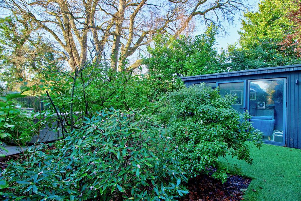 Garden Office / Bar