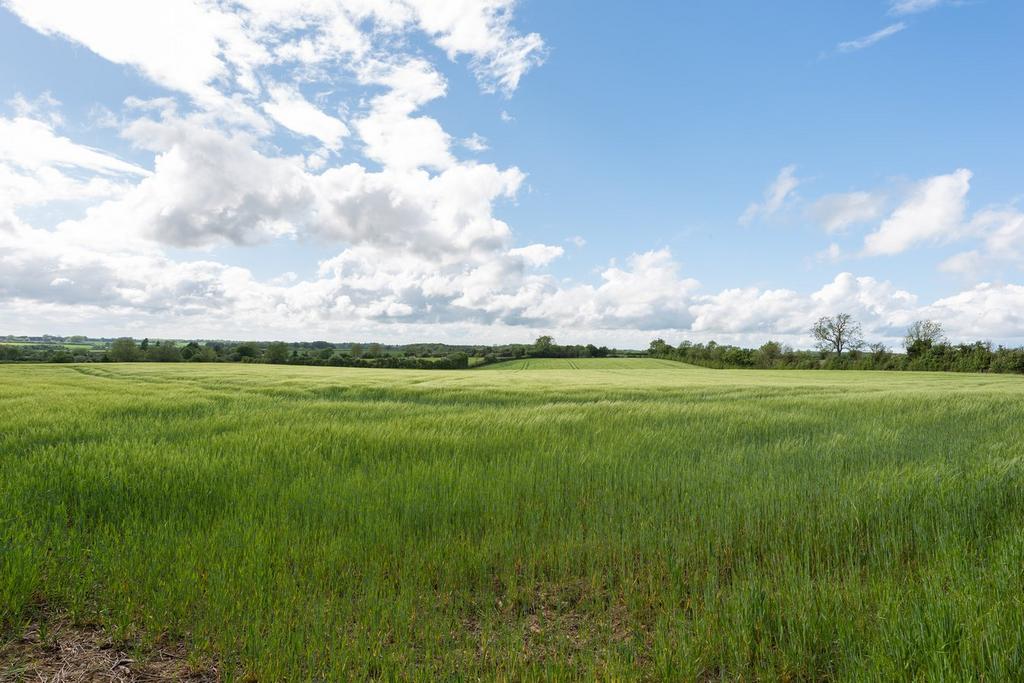 Surrounding Fields