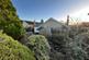 IMG-20250103-WA0005.jpg