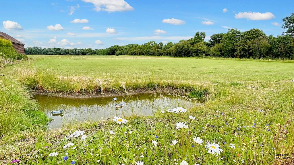 Land and pond