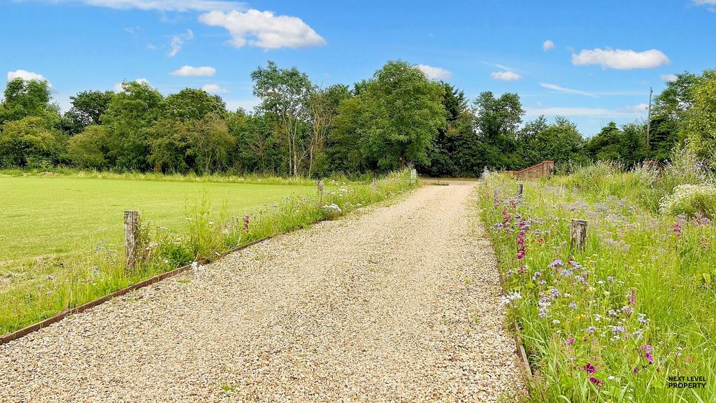Driveway