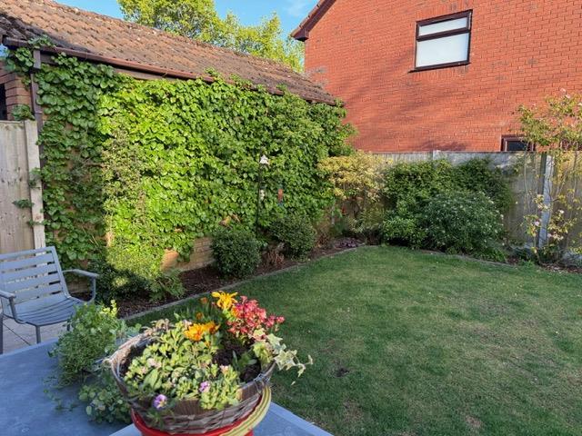 Rear garden corner.jpeg