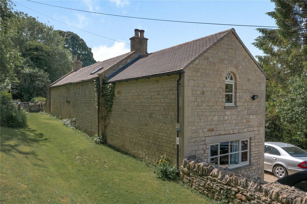 Back Of The House