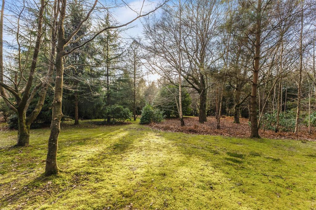 Woodland