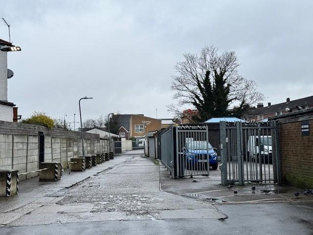 Joe 1 T202501301614.jpg