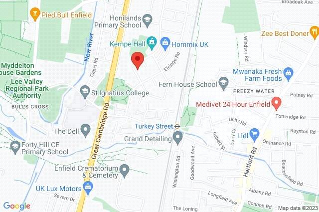 Google Maps Image