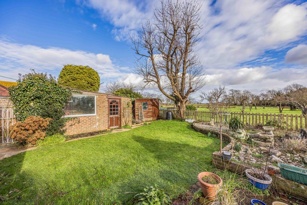 20250203163617117 original [989751074].jpg