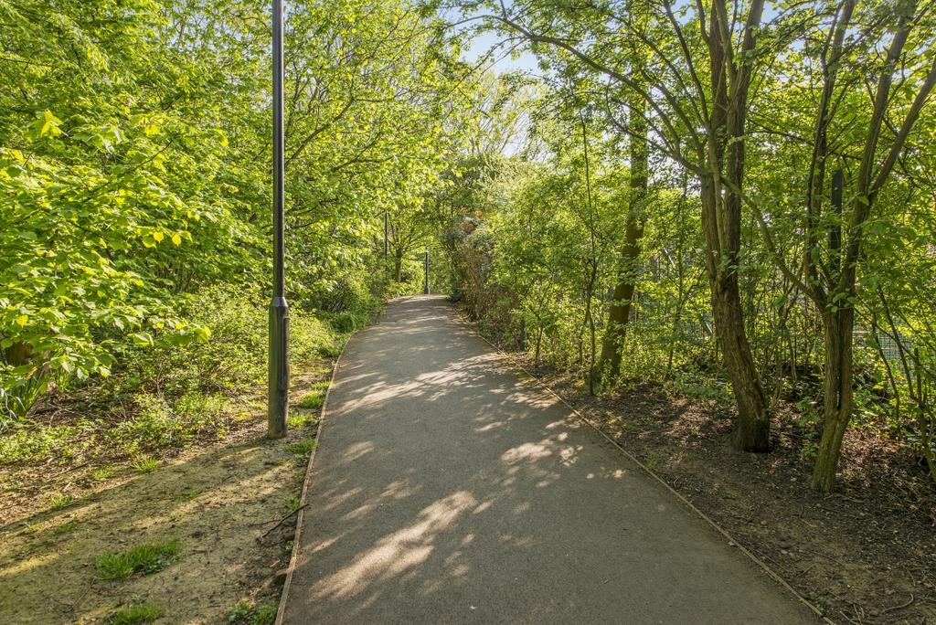 Paddington Rec 2
