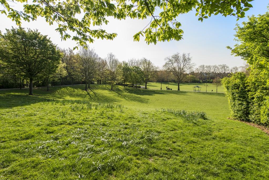 Paddington Rec 3