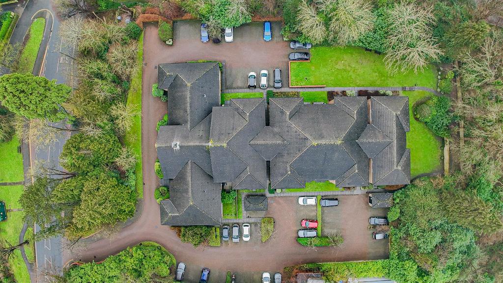 DJI 20250131112052 0483 D.jpg