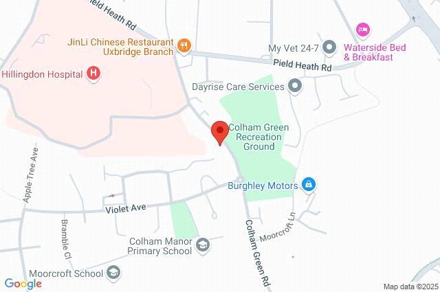 Google Maps Image