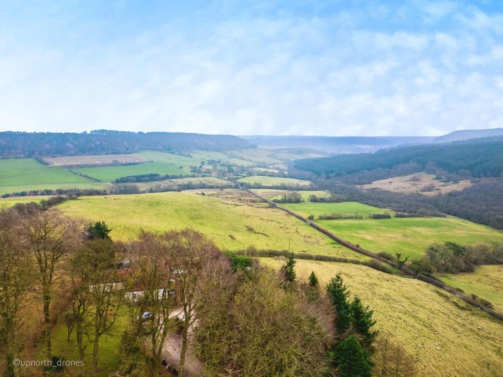 219554fd-DJI 0796.jpg