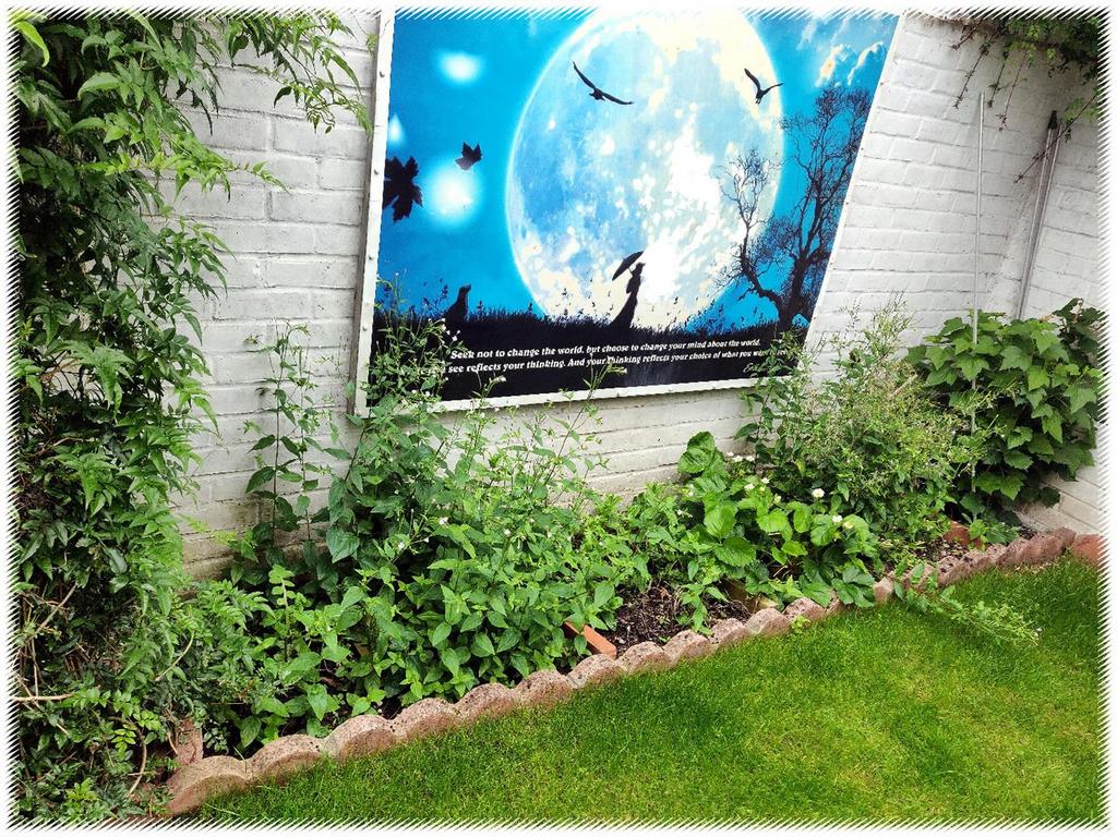 Garden.2.jpg