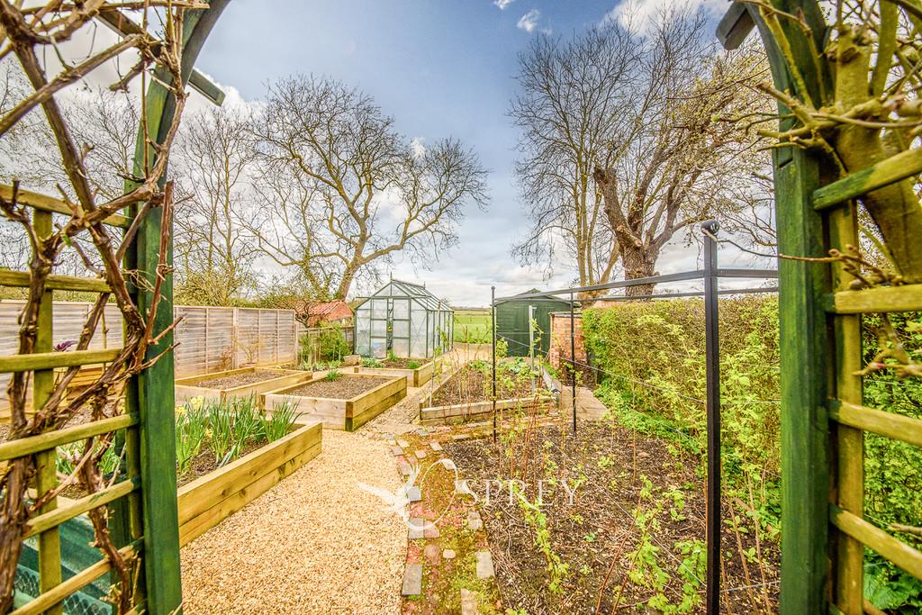 Vegetable Garden