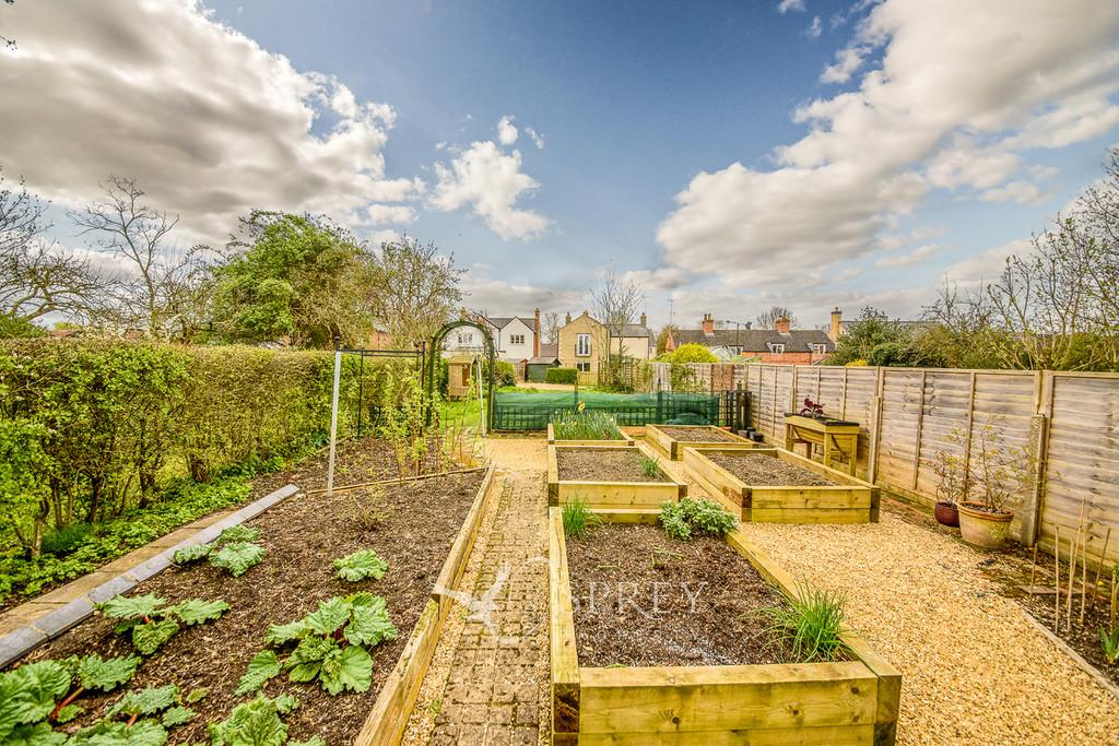 Vegetable Plot