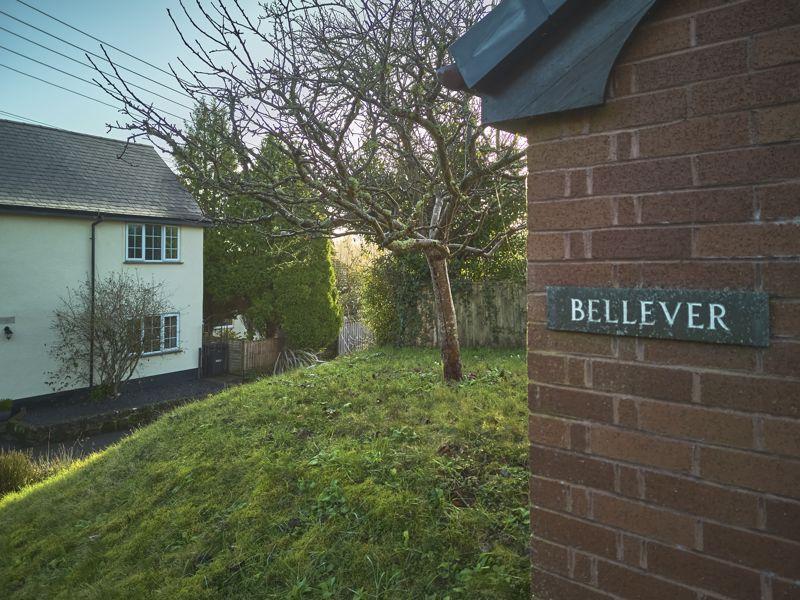 Bellever