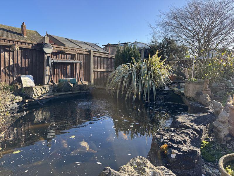 Coy Pond