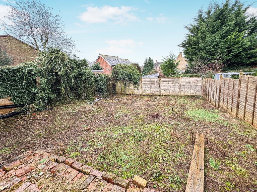Rear Plot
