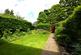 Front Garden -Summer