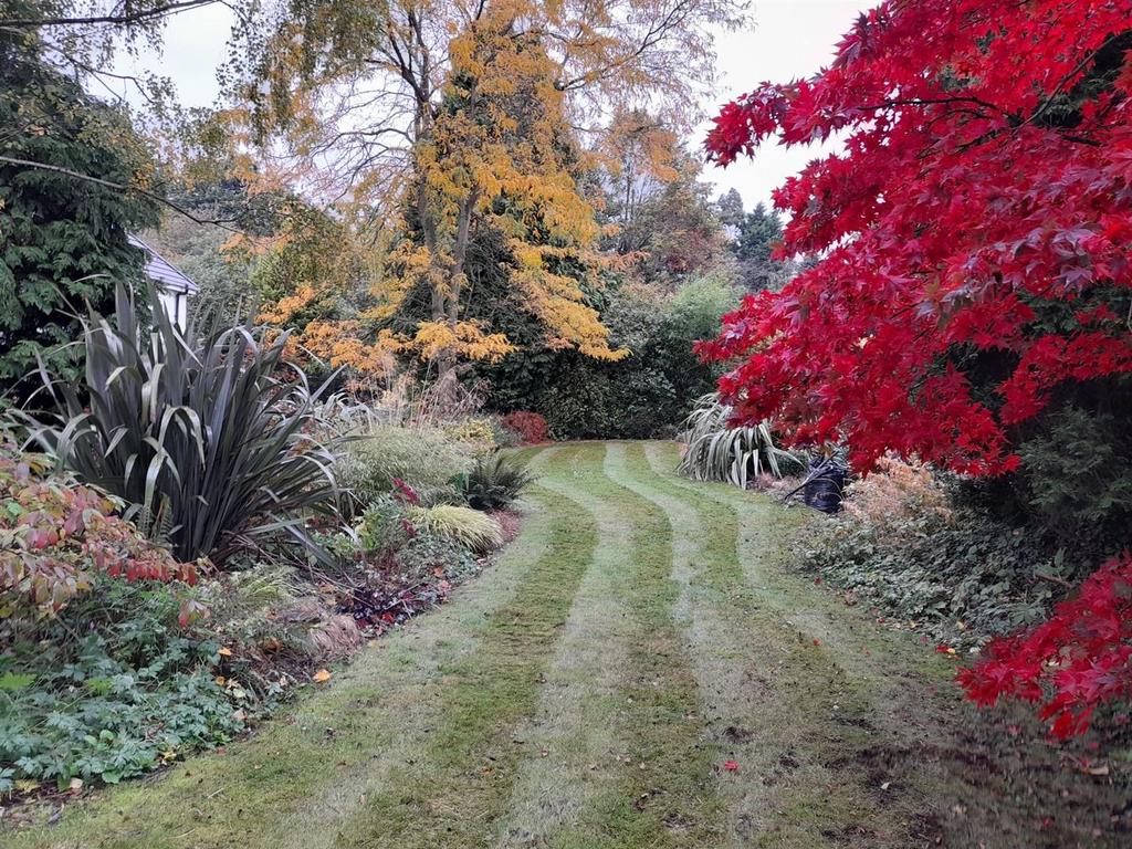 Garden.jpg