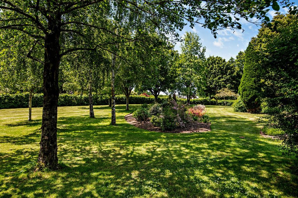 Grounds