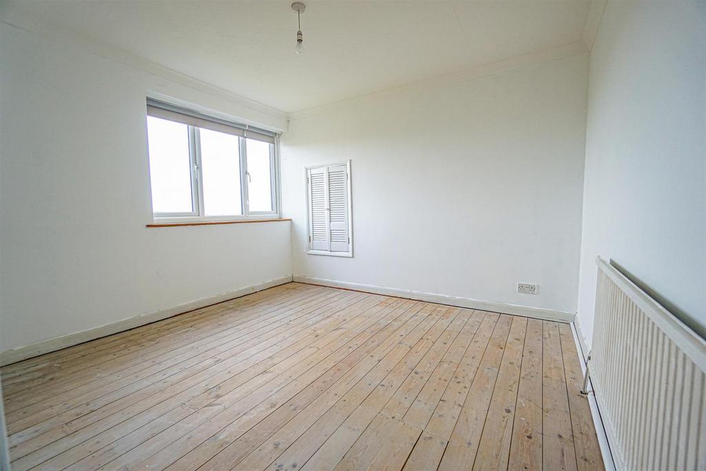 DSC07091 Alto.jpg