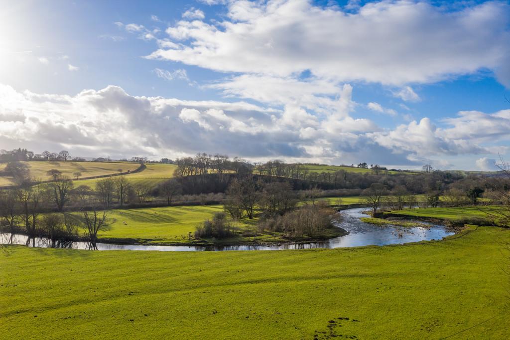 Countryside View from the Patio