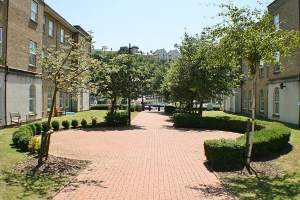 Picture6