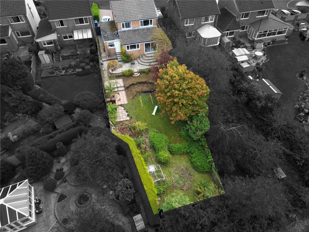 Large Plot