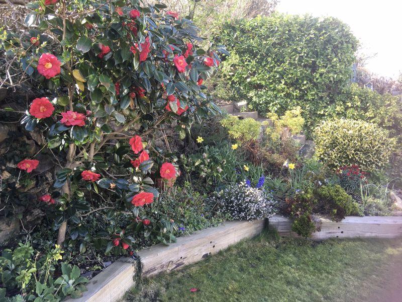 Photo 25
