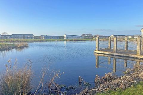 undefined, Doniford Bay, Watchet