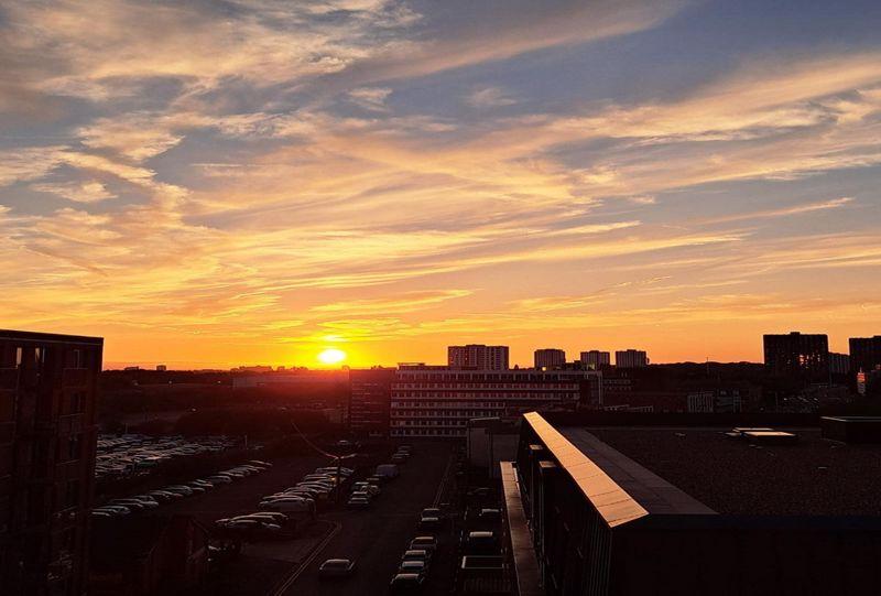 Sunset View