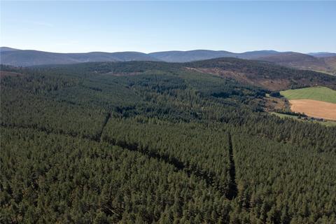 Land for sale, Arntilly Wood, Banchory, Aberdeenshire, AB34