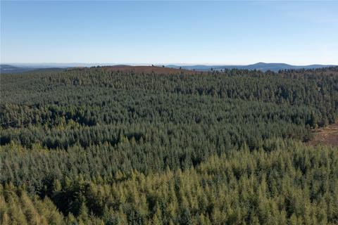 Land for sale, Arntilly Wood, Banchory, Aberdeenshire, AB34