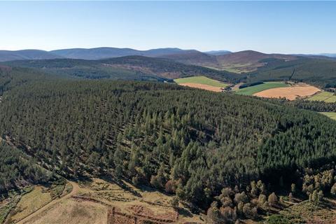 Land for sale, Arntilly Wood, Banchory, Aberdeenshire, AB34