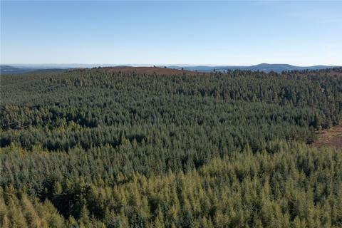 undefined, Arntilly Wood, Banchory, Aberdeenshire, AB34