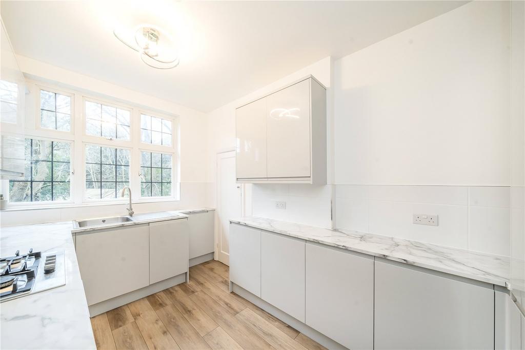 Modern Kitchen