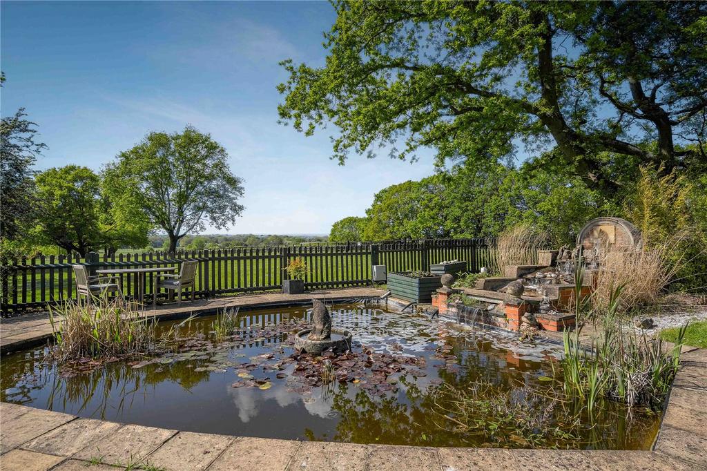 Pond