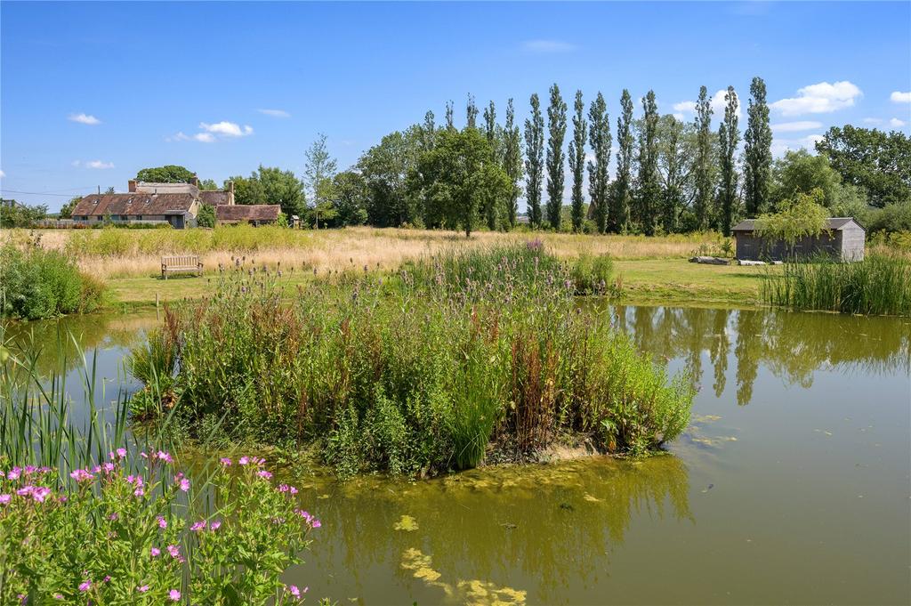 Pond