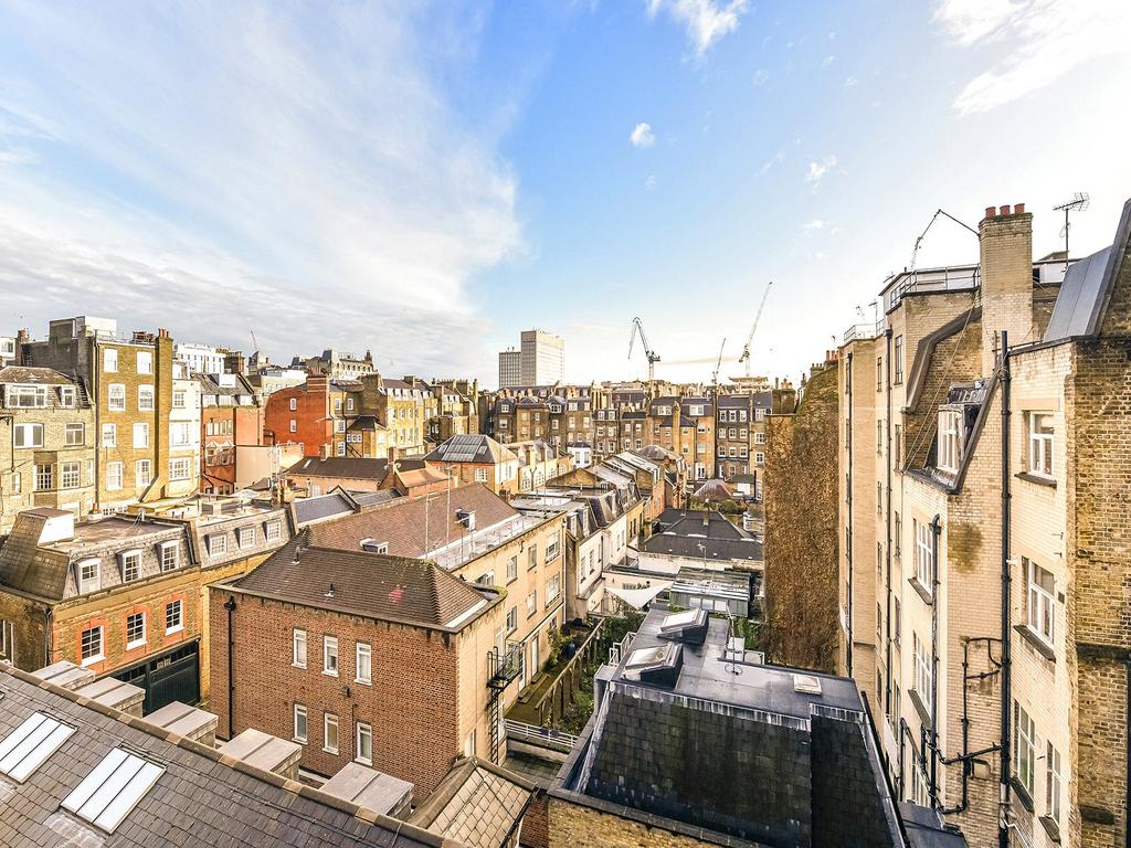 29 Wimpole Street